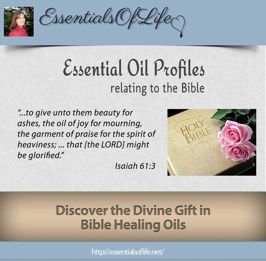 introduction bible healing oils